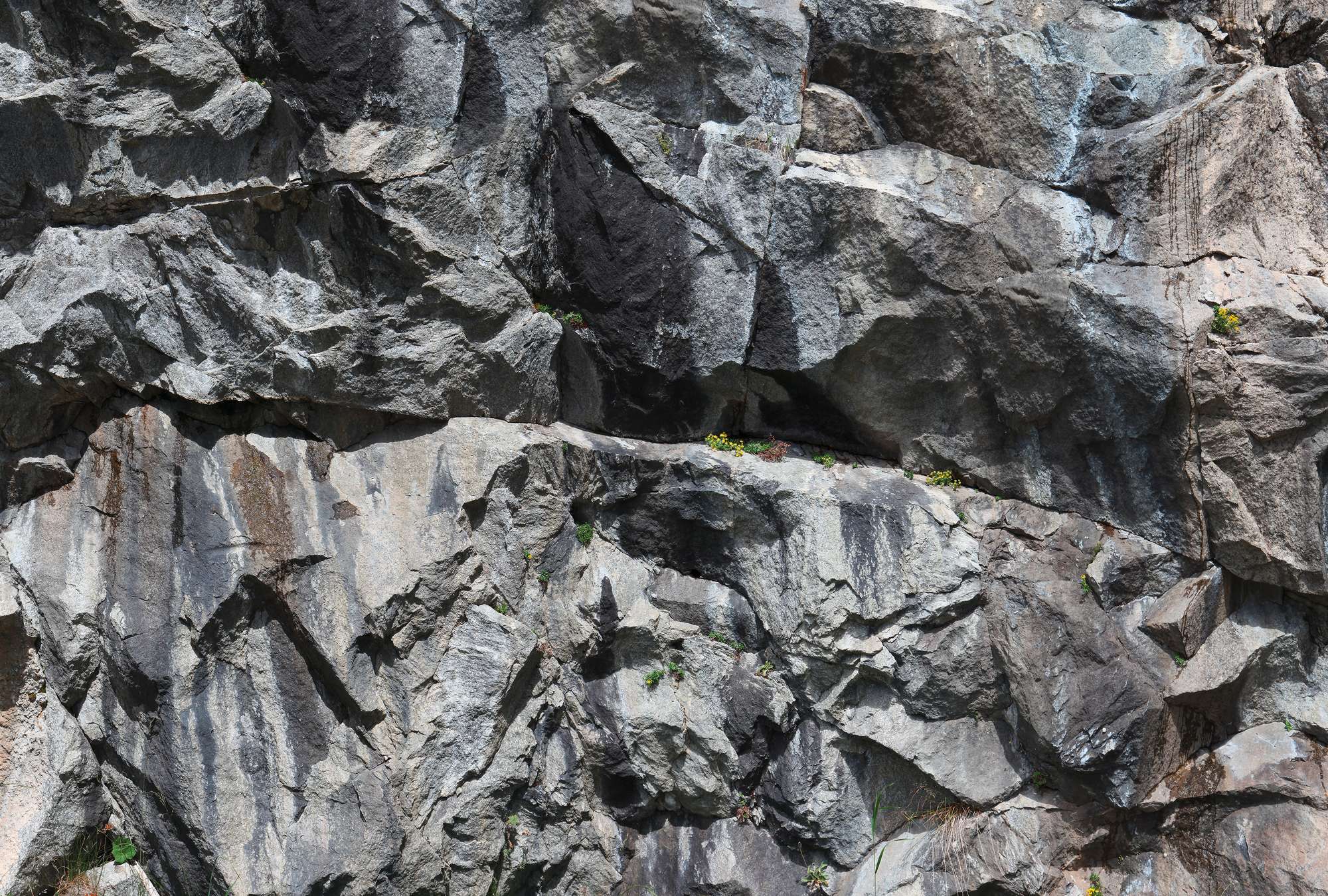             Behang met natuurlijke uitstraling - rotswand
        