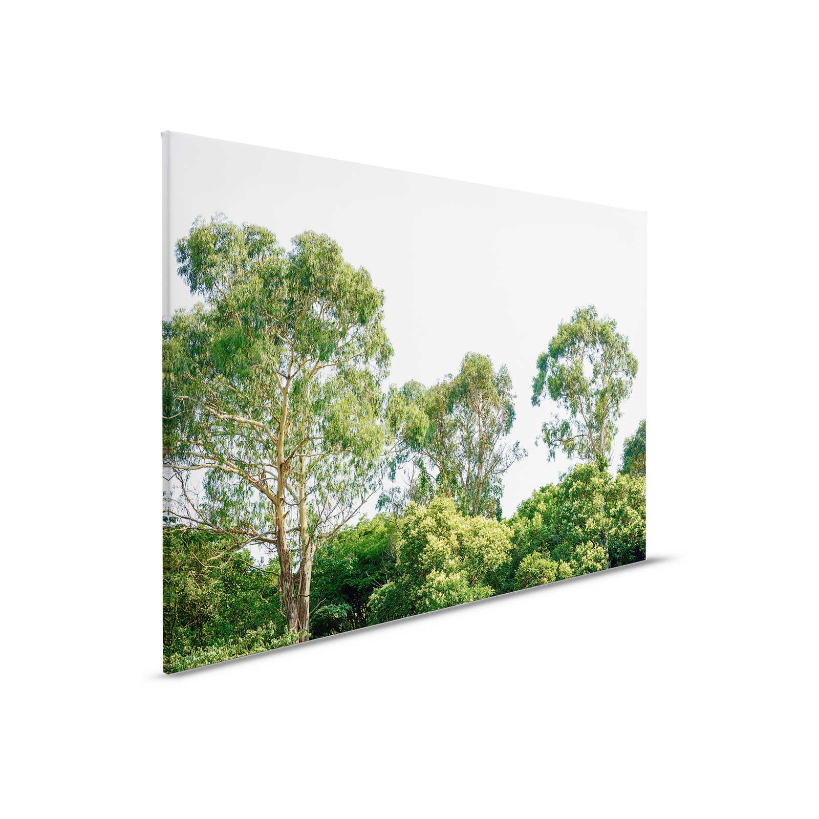 Canvas with treetops, forest motif - 0.90 m x 0.60 m
