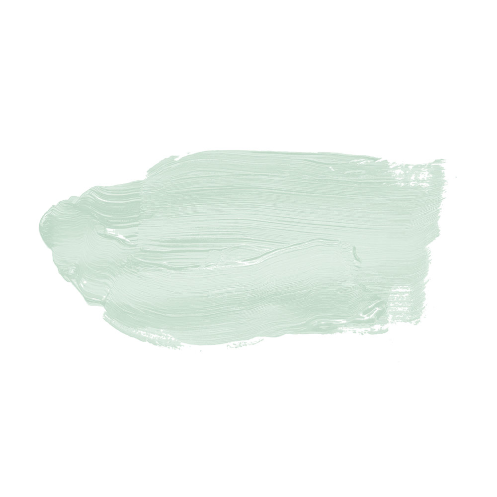            Wall Paint TCK3000 »Perky Peppermint« in a light mint shade – 2.5 litre
        