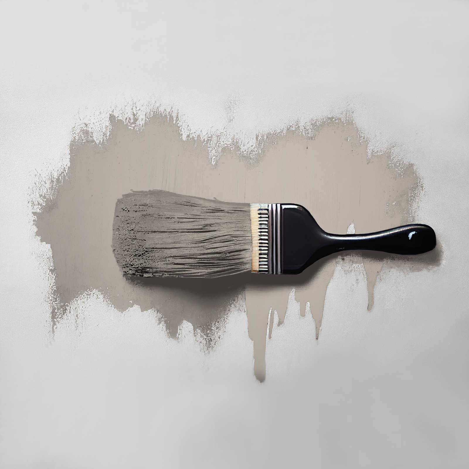             Pittura murale TCK1018 »Whole Grain« in grigio tipico – 2,5 litri
        
