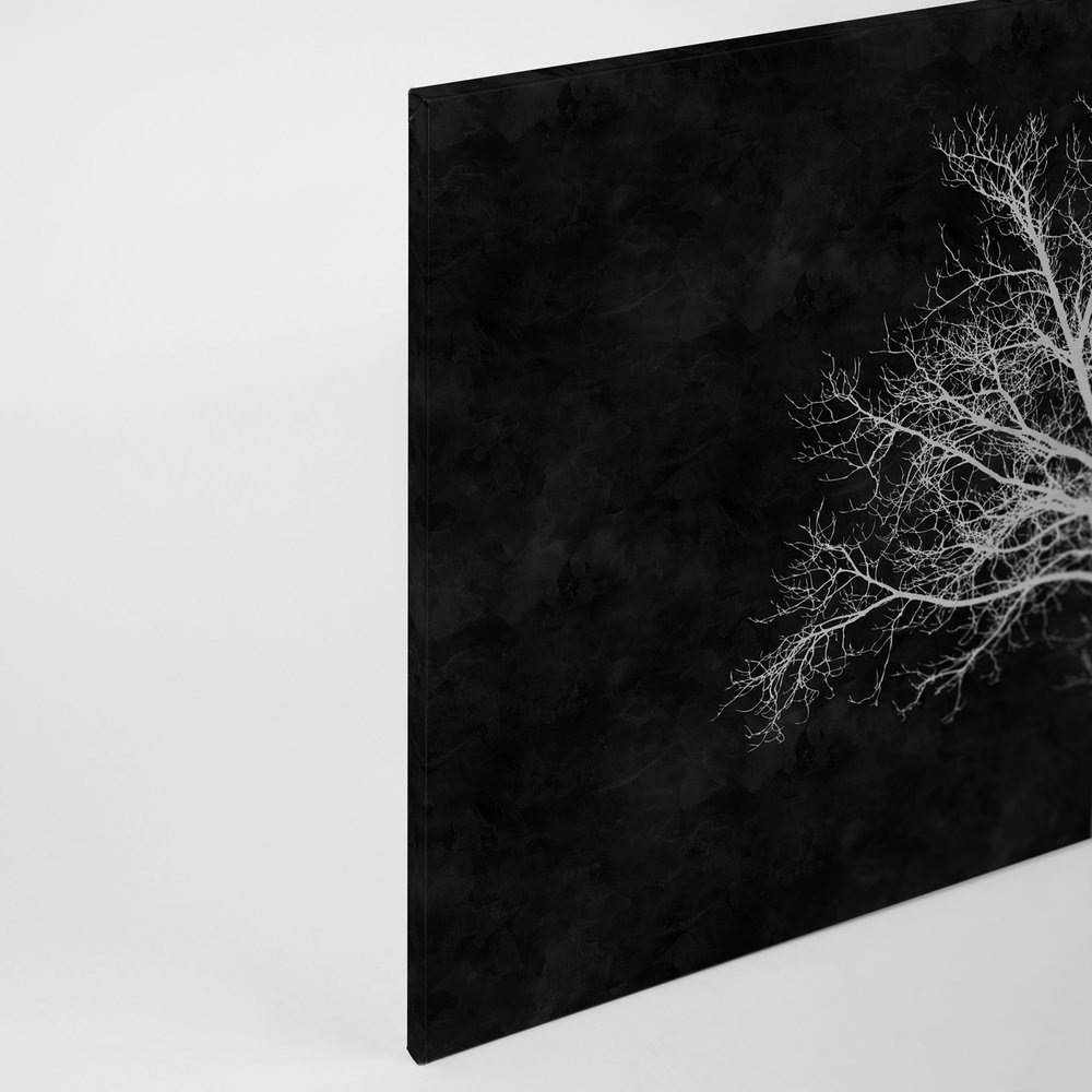             Zwart-wit canvas schilderij witte boom - 0,90 m x 0,60 m
        