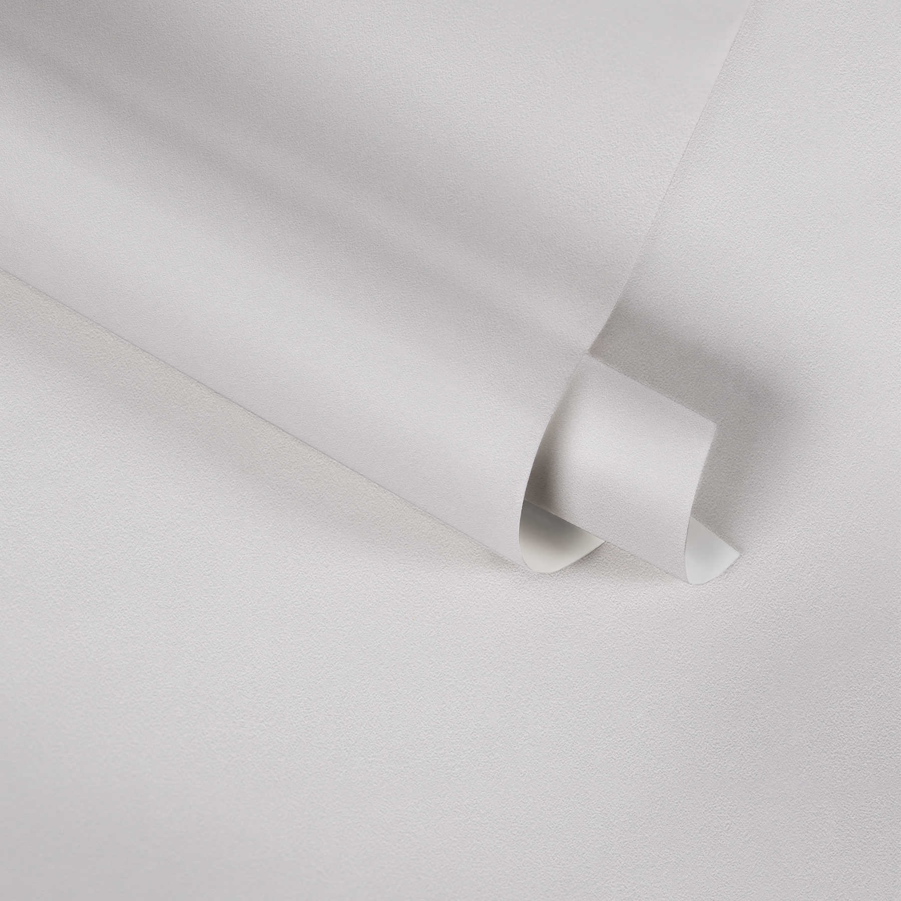             Papier peint avec structure gaufrée & uni design - Blanc
        