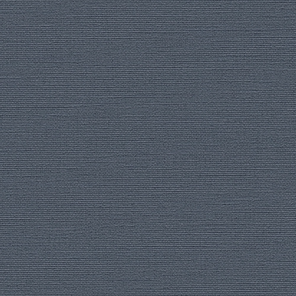             Tinta unita scura con struttura chiara - Blu
        