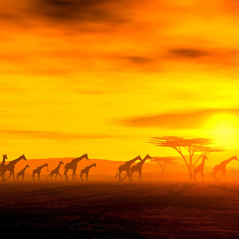 papier peint en papier Savane avec troupeau de girafes - nacre intissé lisse
