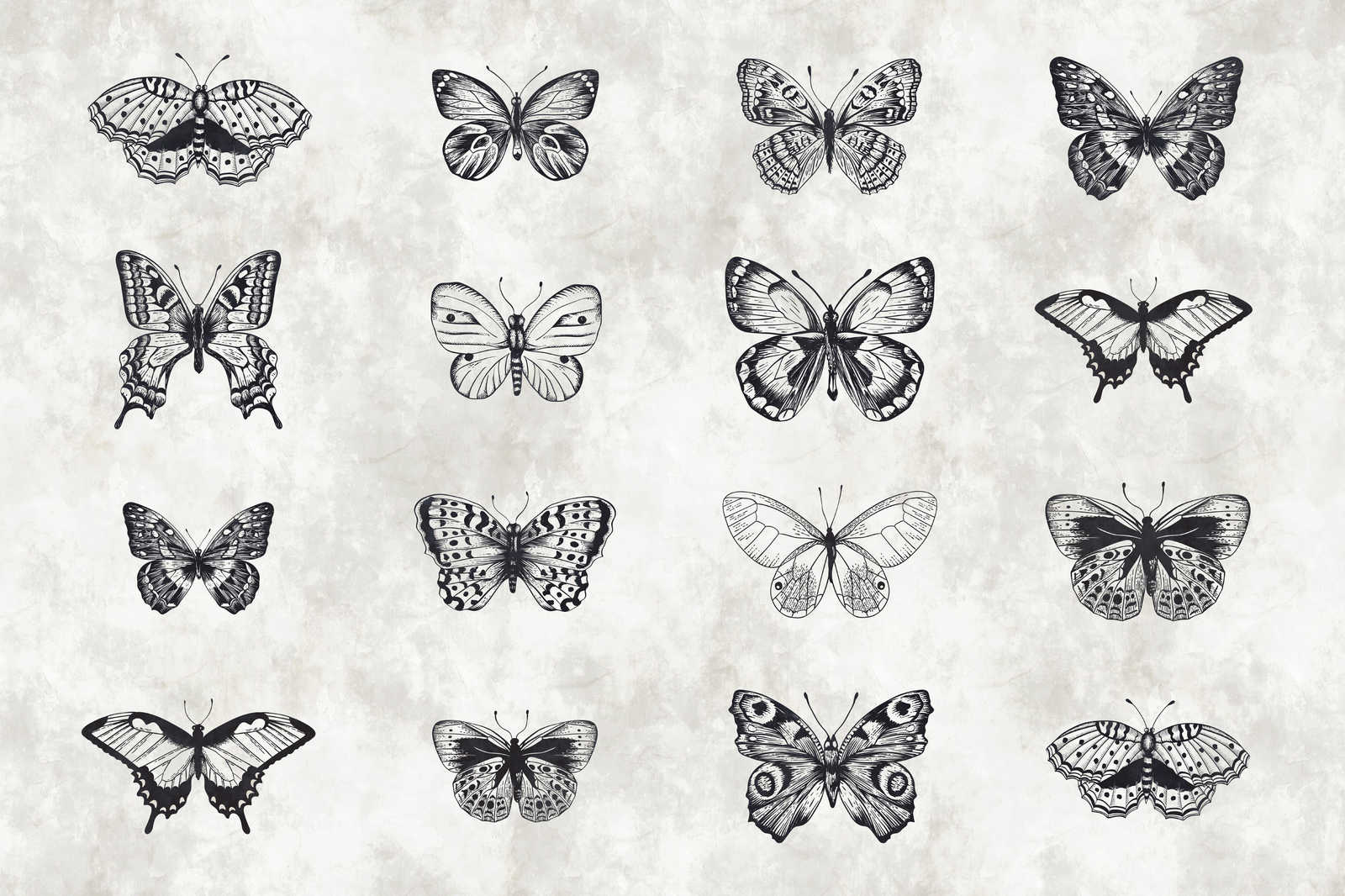             Pittura su tela Butterfly Disegni in bianco e nero - 0,90 m x 0,60 m
        