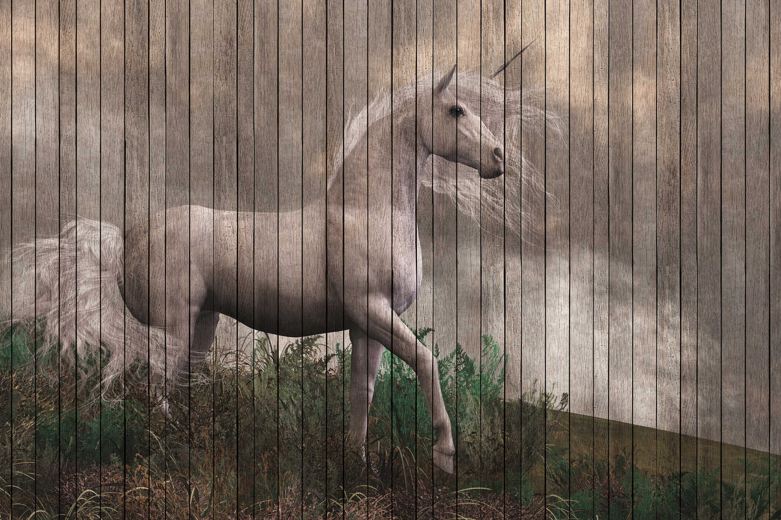             Fantasy 3 - toile licorne avec effet de planche de bois - 0,90 m x 0,60 m
        