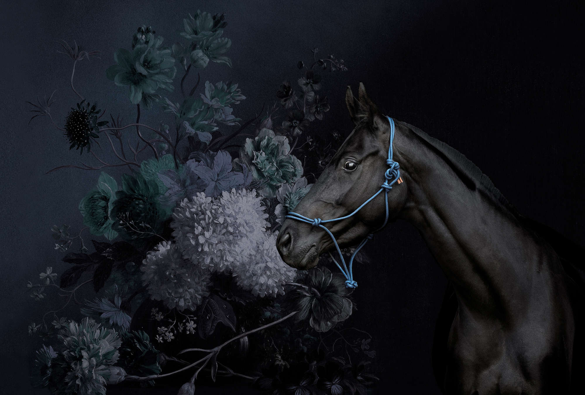             Paarden portretstijl muurschildering met bloemen
        