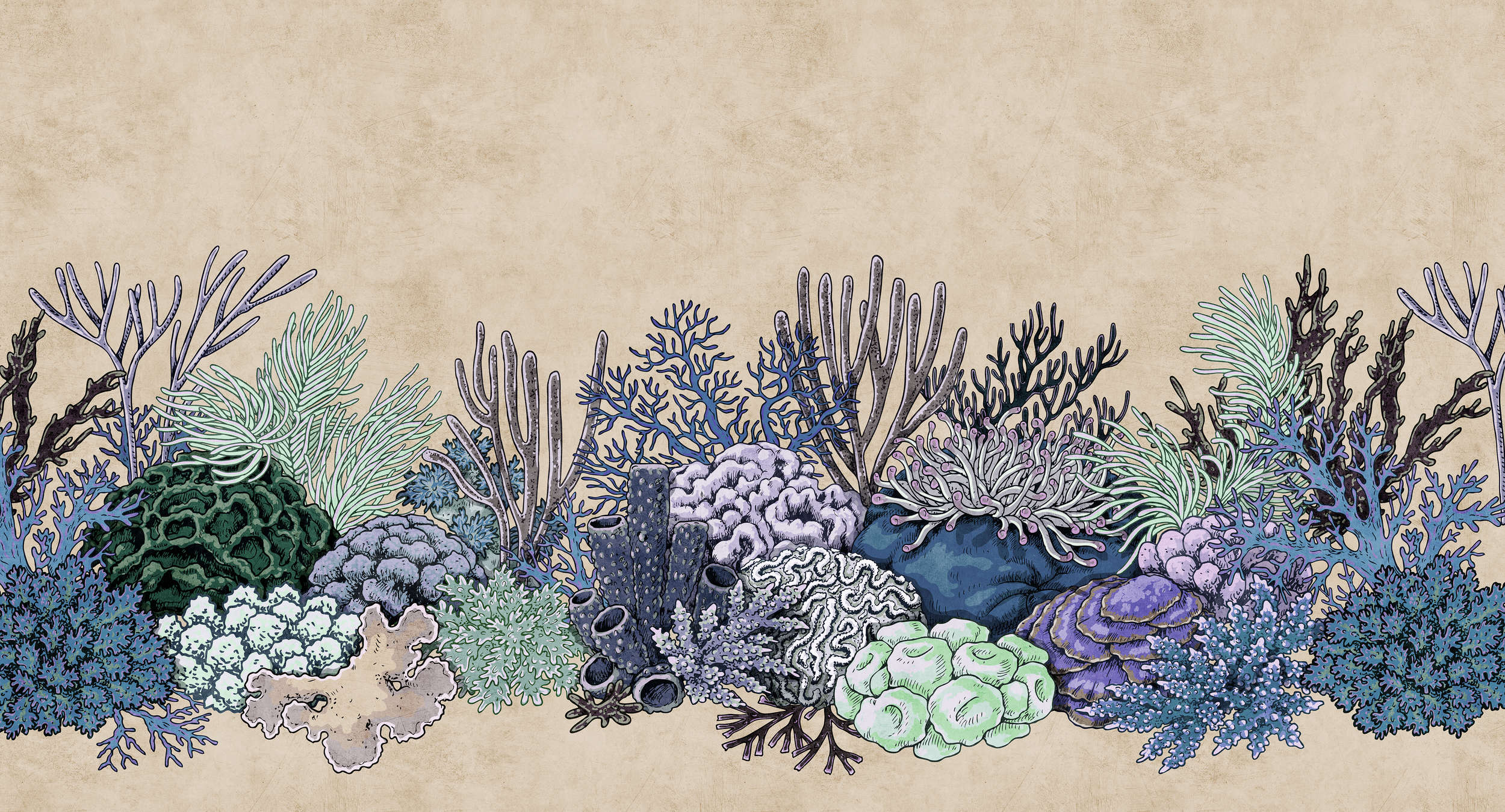             Octopus' Garden 3 - Digital behang Koraal & Riflandschap - Vloeipapier Textuur - Beige | Premium Smooth Vliesbehang
        
