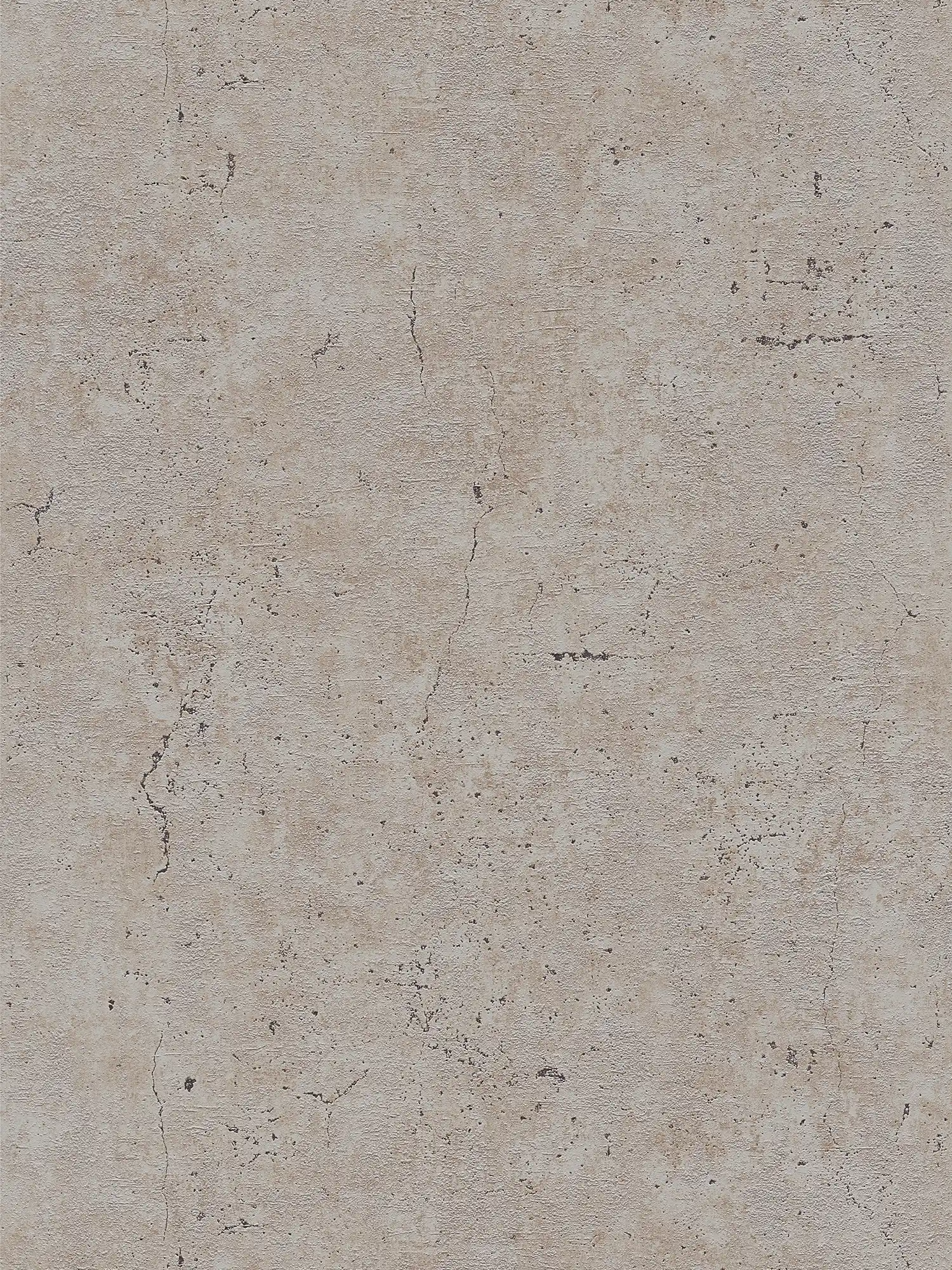        Wallpaper concrete look rustic in industrial style - grey, brown
    