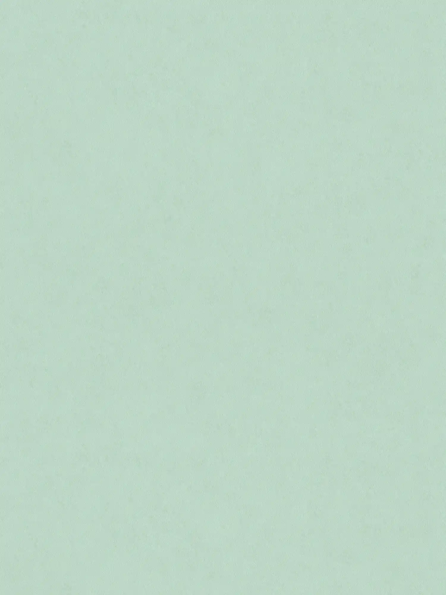 Papier peint intissé uni aspect crépi - turquoise
