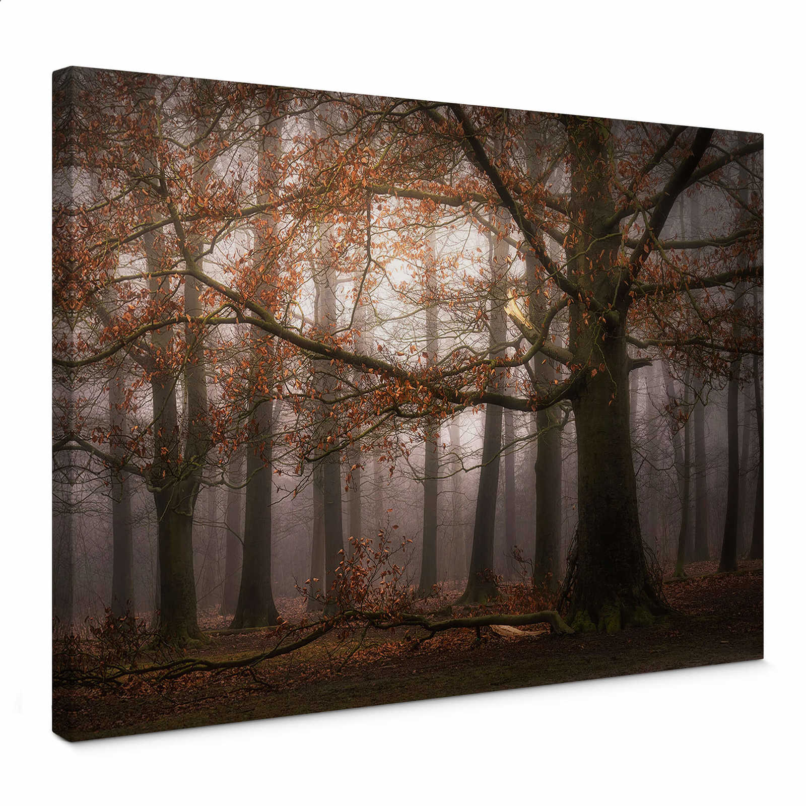 Canvas print with leafy forest in november by Digemans
