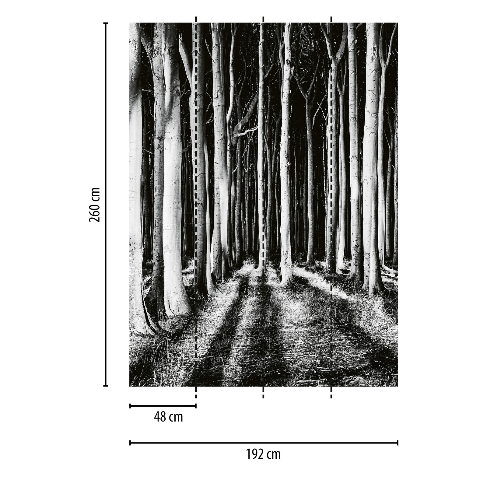             Fotomurali Foresta spettrale di notte - Nero, bianco, grigio
        