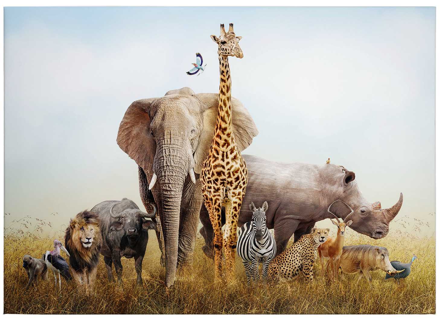             Canvas schilderij Afrikaanse dieren in de natuur - 0,70 m x 0,50 m
        