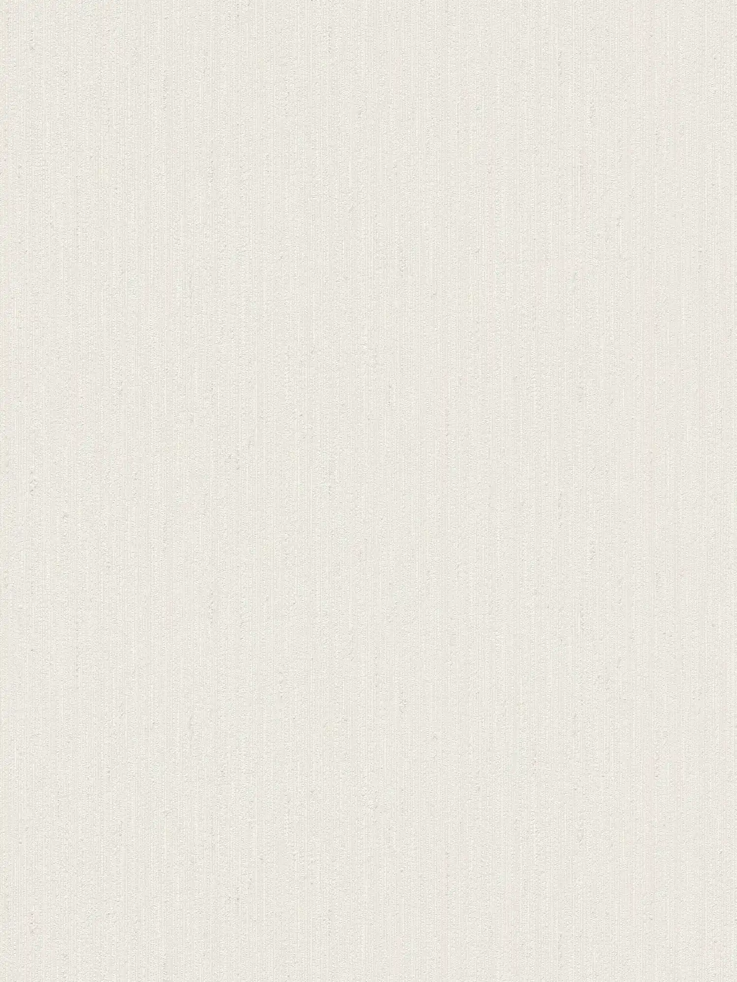 Single-coloured non-woven wallpaper with a light texture - white

