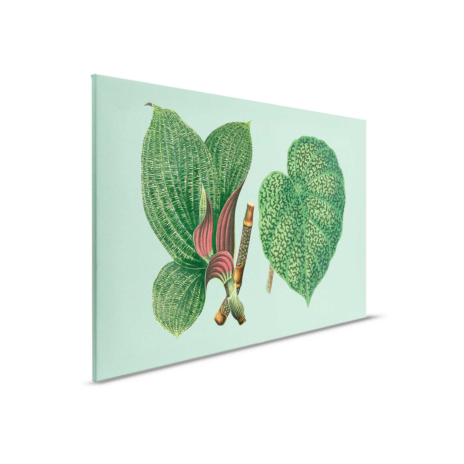 Leaf Garden 2 - Quadro su tela Verde con piante tropicali - 0,90 m x 0,60 m
