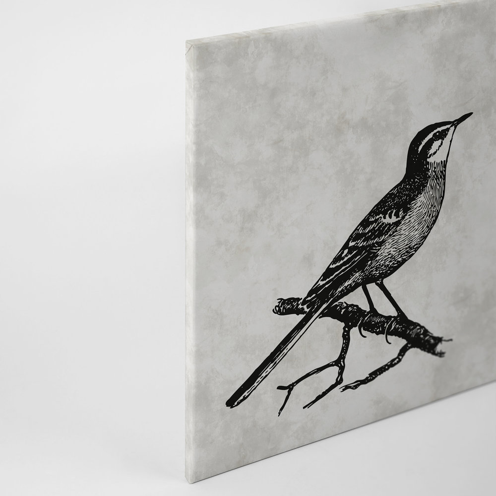             Oiseau toile look dessin avec aspect plâtre - 0,90 m x 0,60 m
        