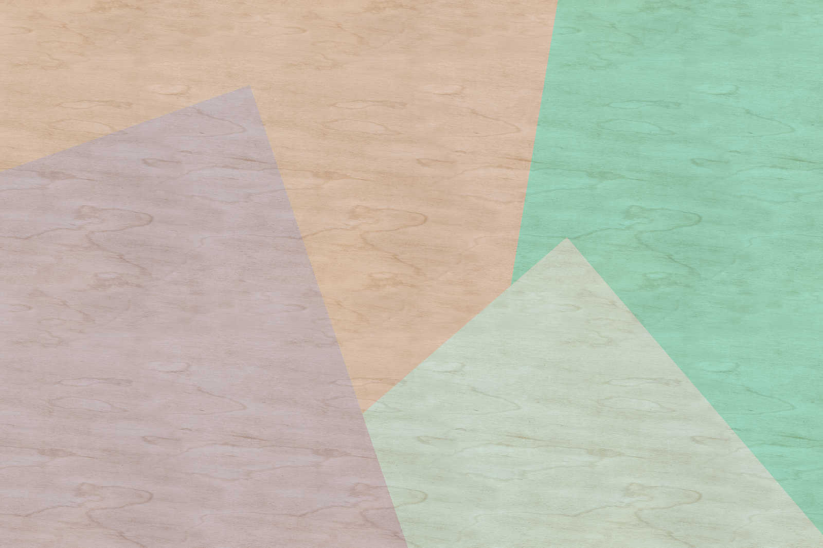             Inaly 1 - Lienzo abstracto y colorista con aspecto de contrachapado - 0,90 m x 0,60 m
        