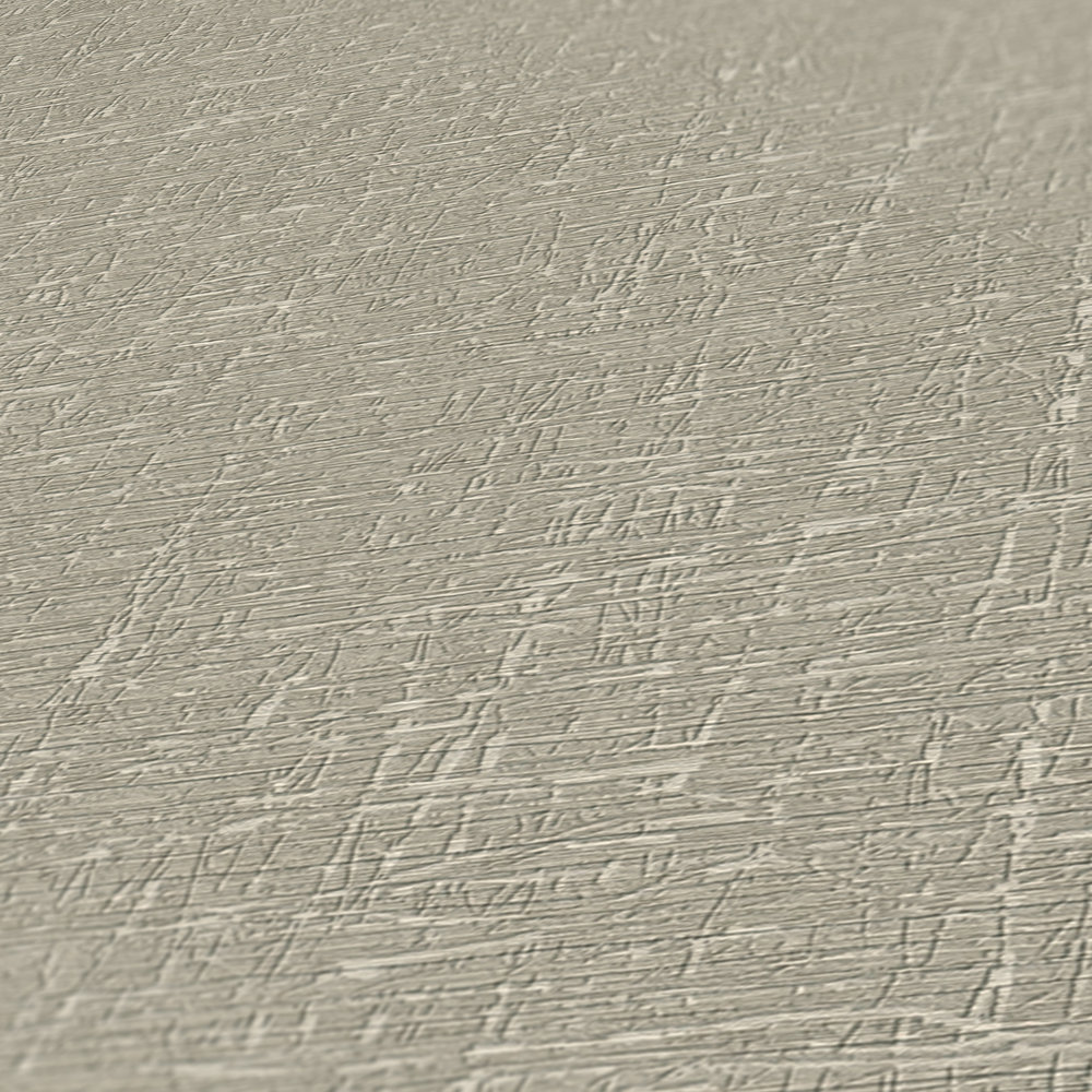             Textured plain wallpaper in matt look - grey, brown
        
