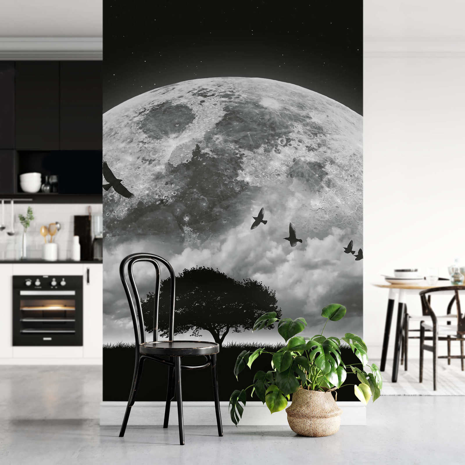             Papier peint panoramique étroit abstrait univers - noir, blanc
        