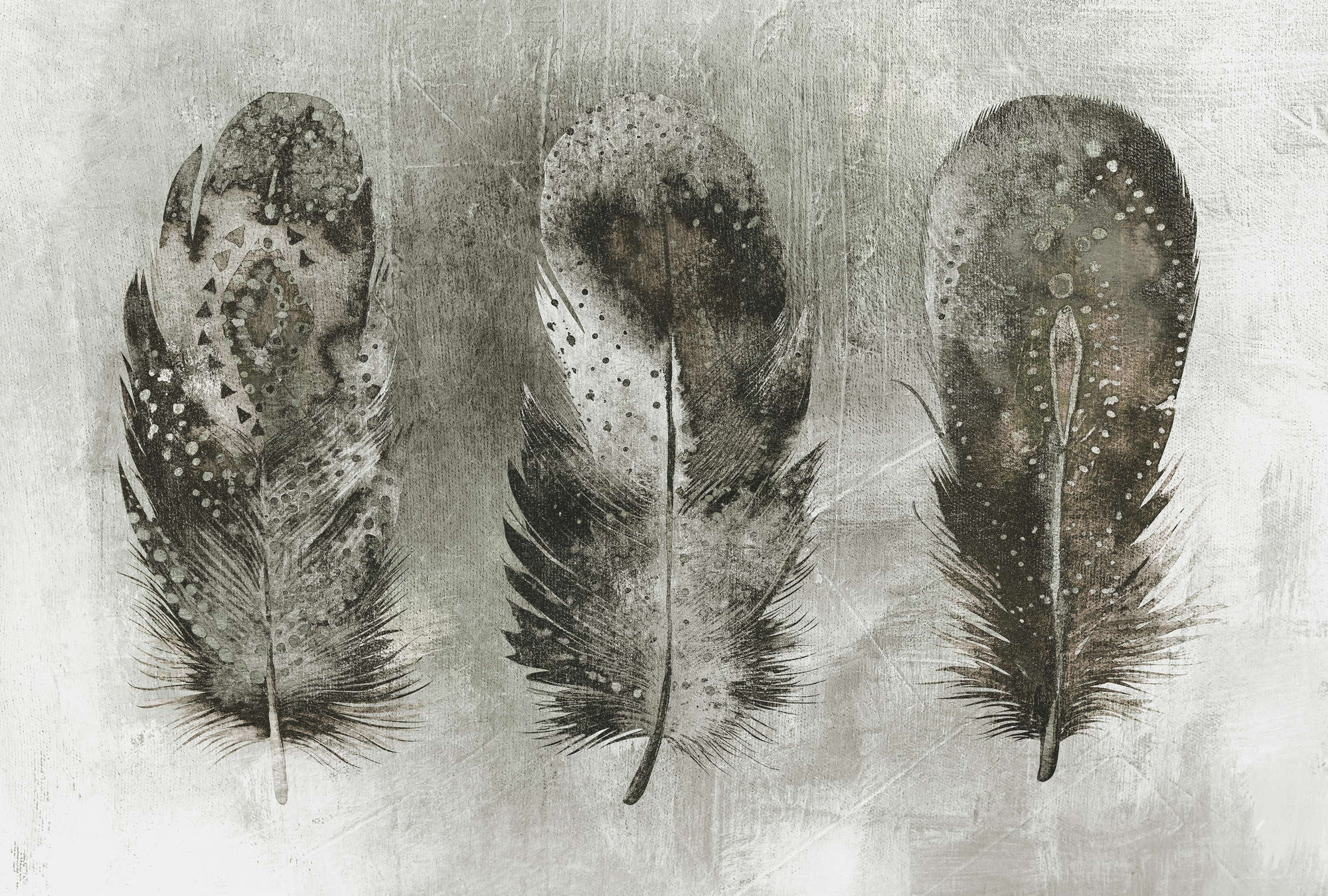             Black and white photo wallpaper, feathers in bohemian style - grey, white, black
        