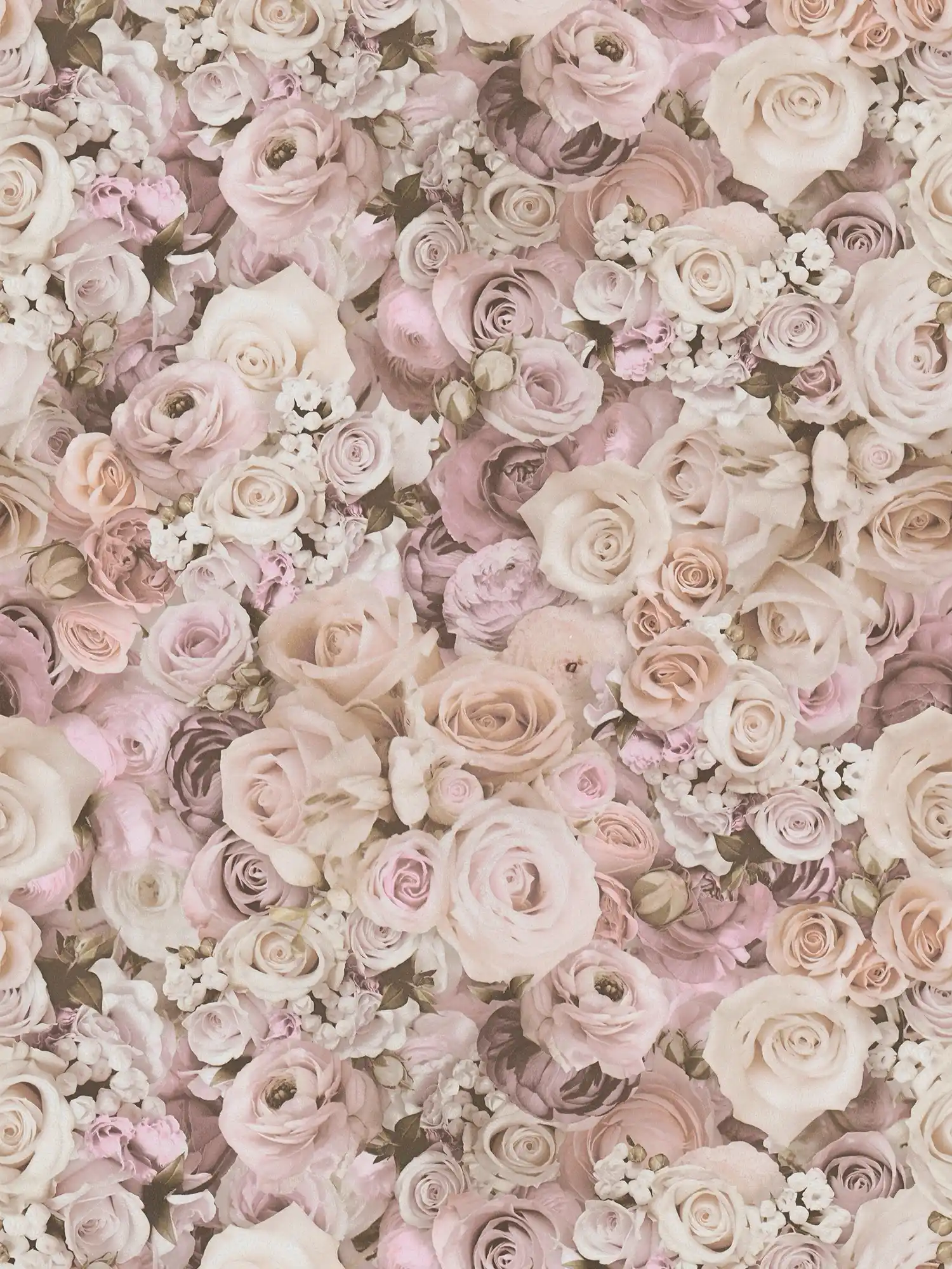 Self-adhesive wallpaper | floral pattern with roses - pink, cream
