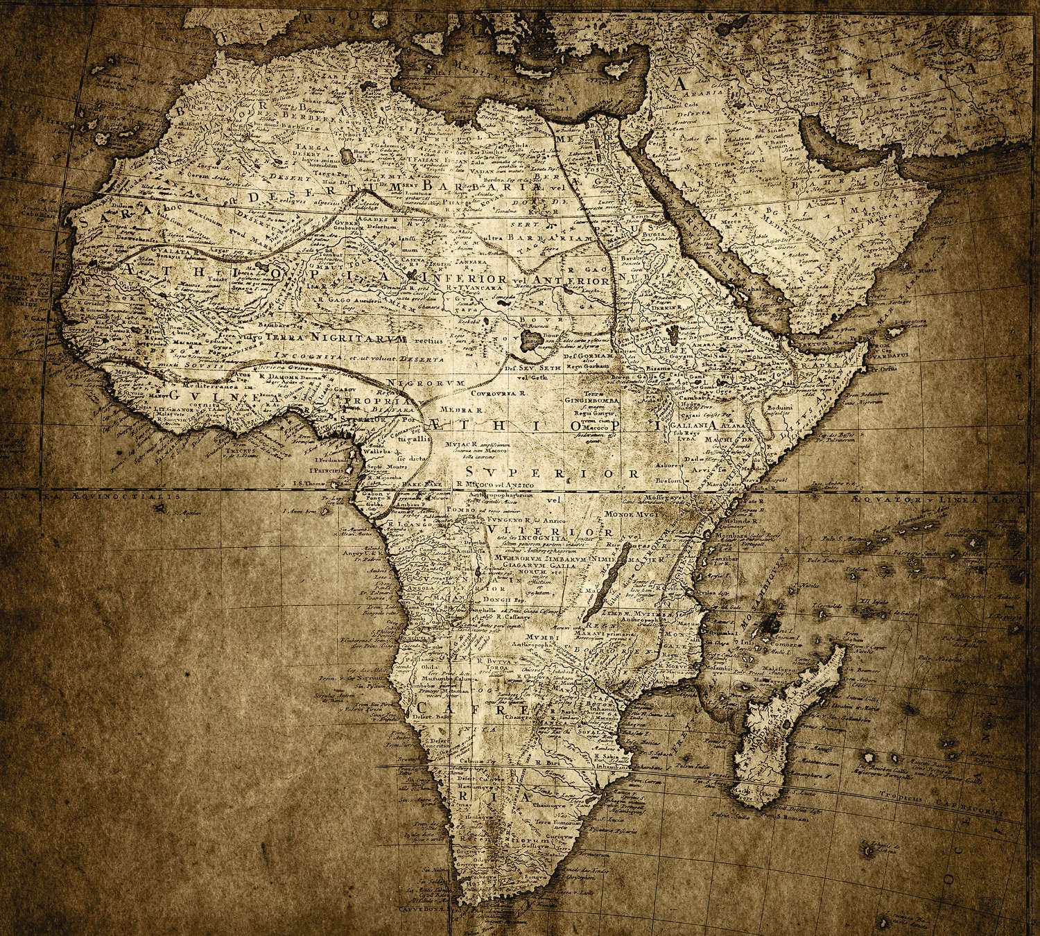             Vintage style Africa map mural
        