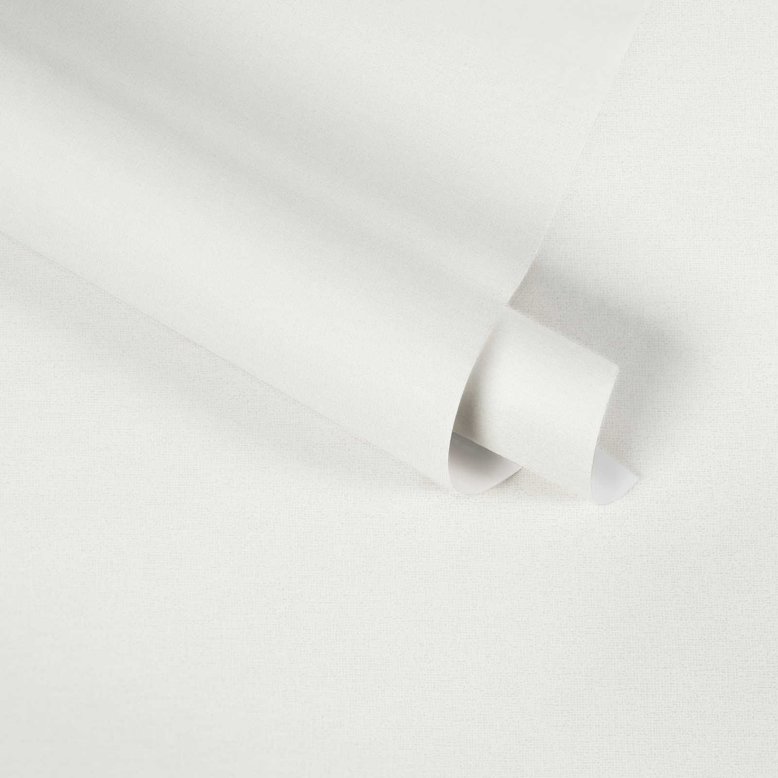             Papier peint uni blanc pur de MICHALSKY
        