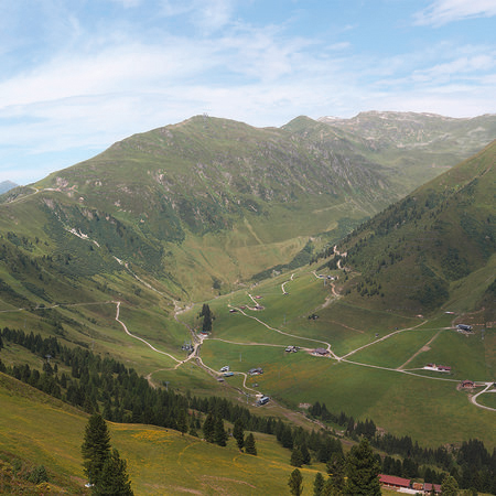 Fotomurali vista valle di prati verdi nelle Alpi
