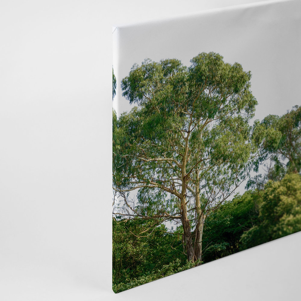             Canvas with treetops, forest motif - 0.90 m x 0.60 m
        