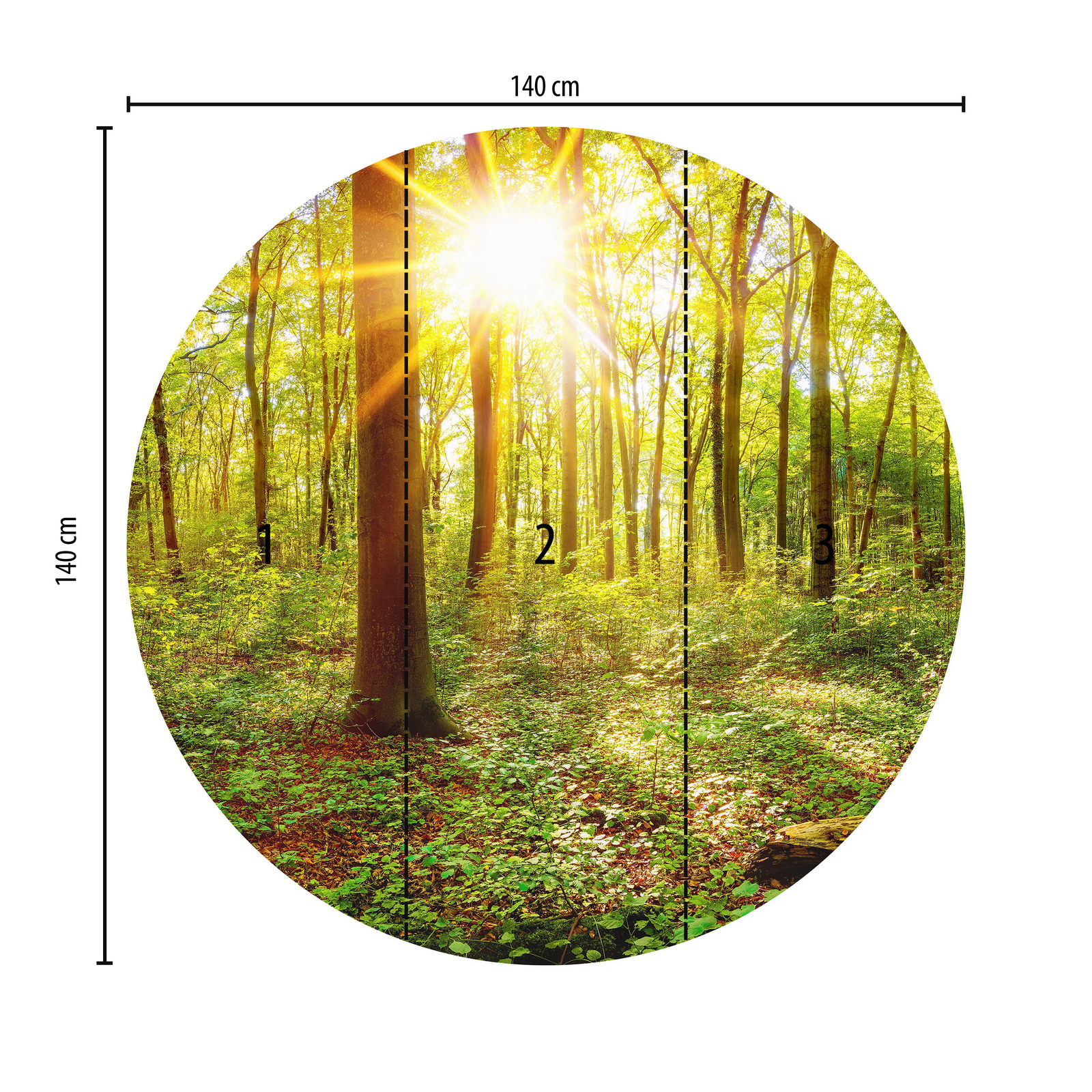             Photo wallpaper round sunny forest - green, brown
        