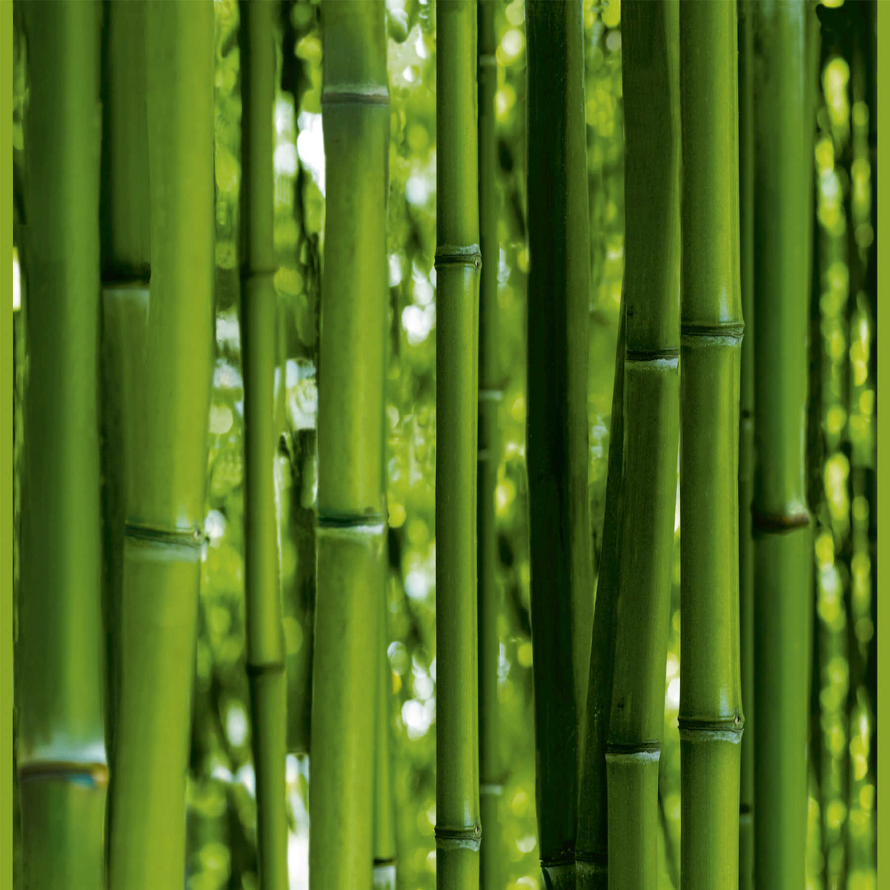             Self-adhesive pop up wallpaper panel with bamboo forest - green
        
