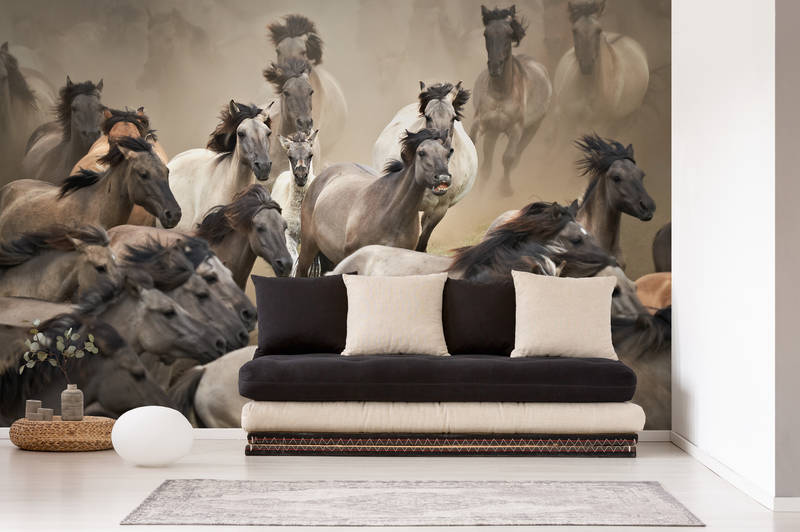             Muurschildering galopperende wilde paarden - Mustangs
        
