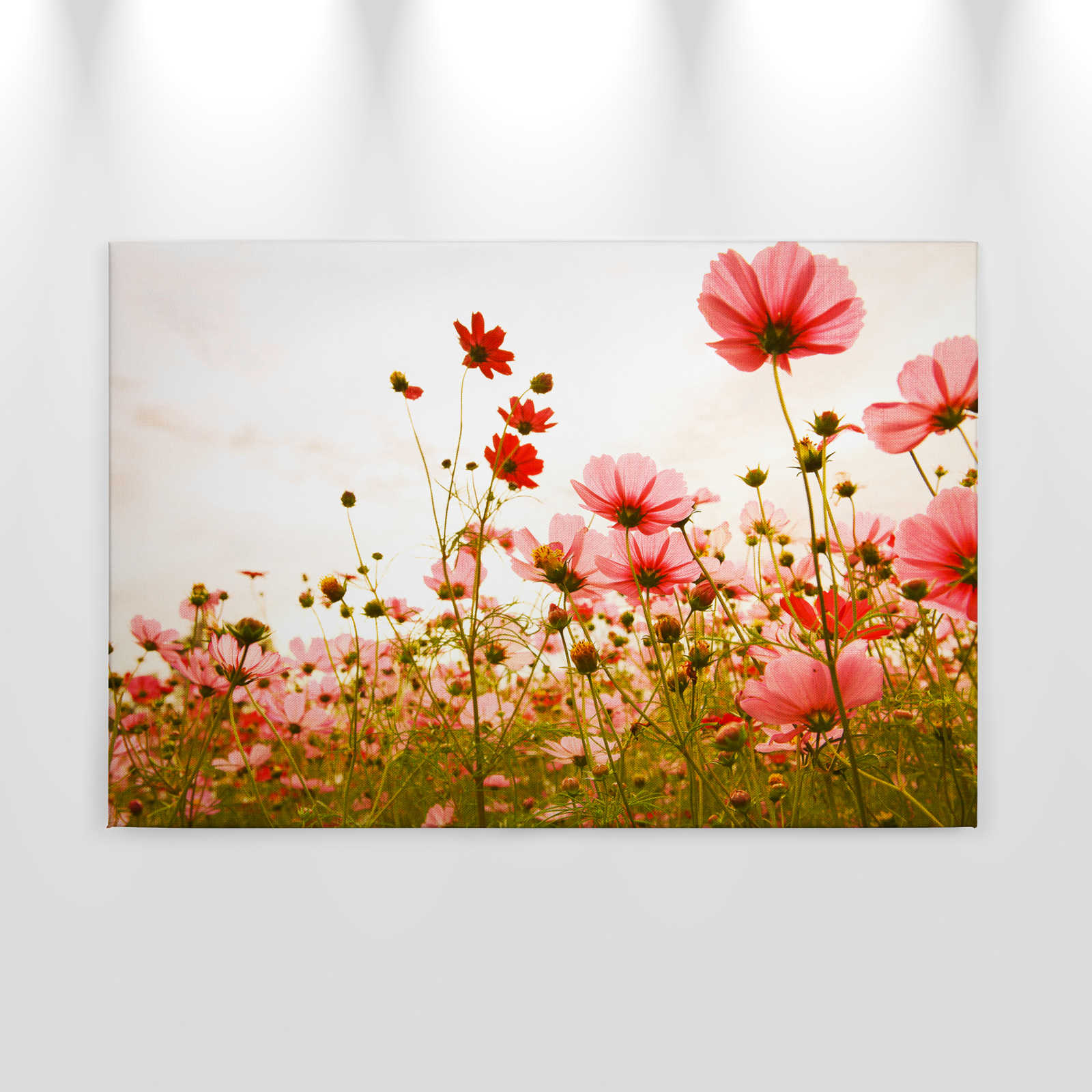             Canvas met bloemenweide in de lente | roze, groen, wit - 0.90 m x 0.60 m
        