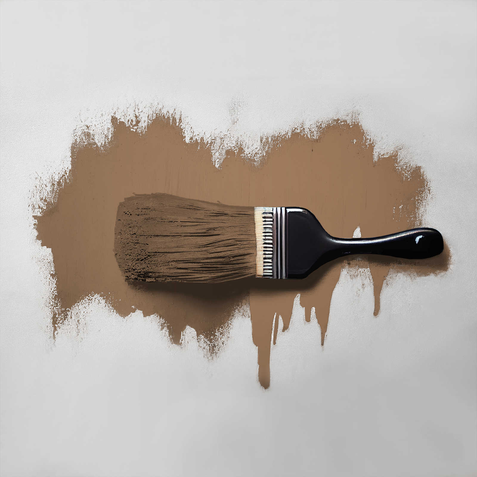             Wall Paint TCK6007 »Awesome Anis« in cosy brown – 5.0 litre
        