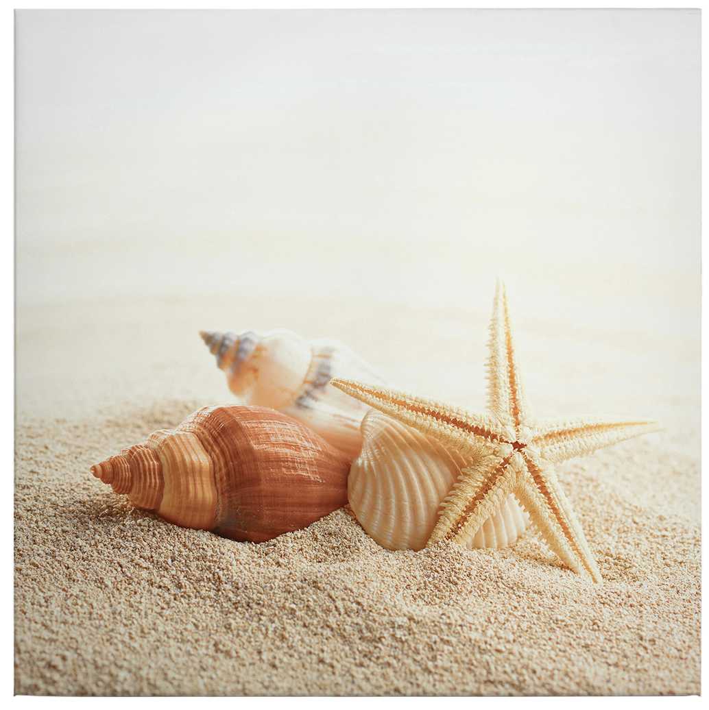             Square canvas picture starfish and shells
        