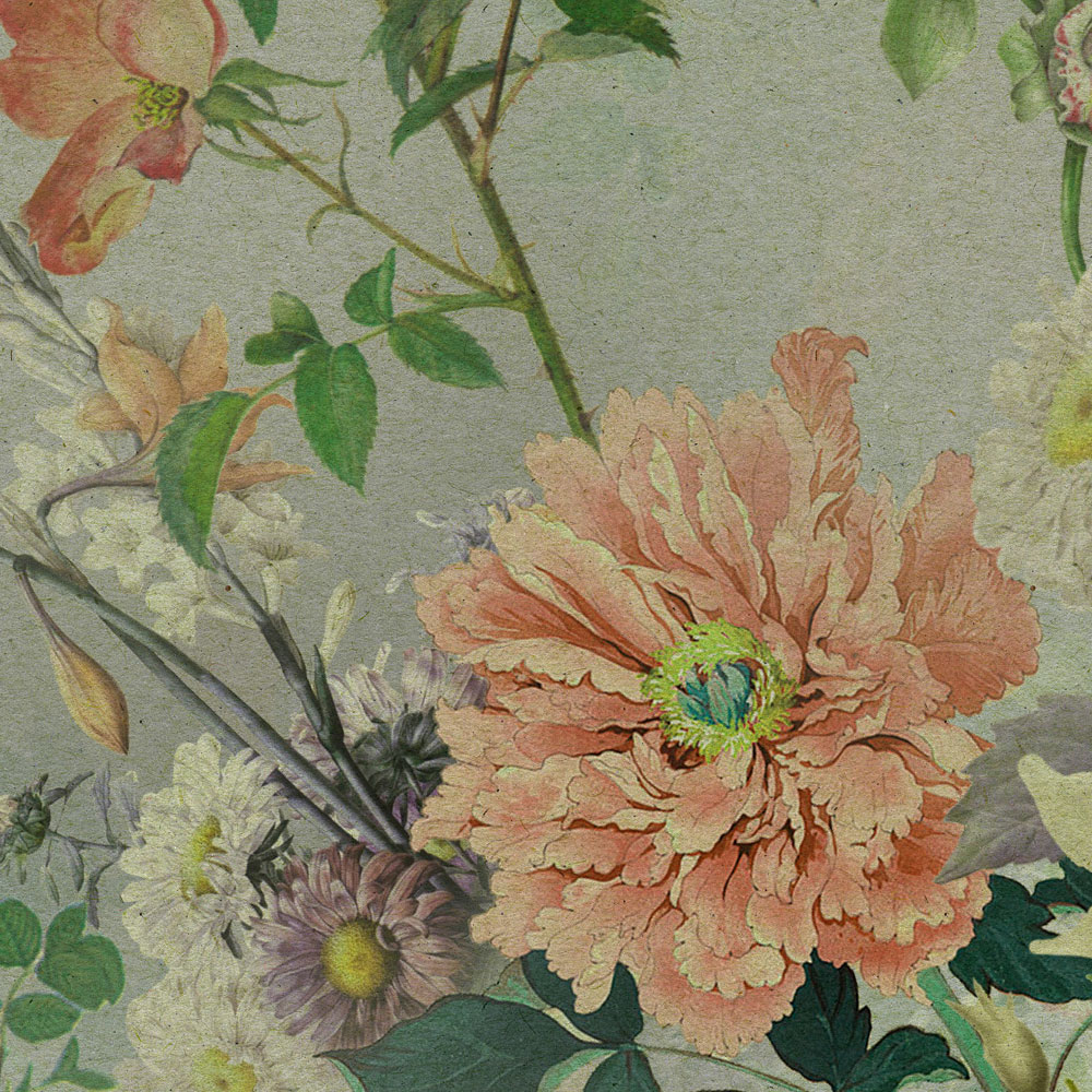             Amelies Home 2 - Papel Pintado de Flores Flores coloridas en estilo campestre
        