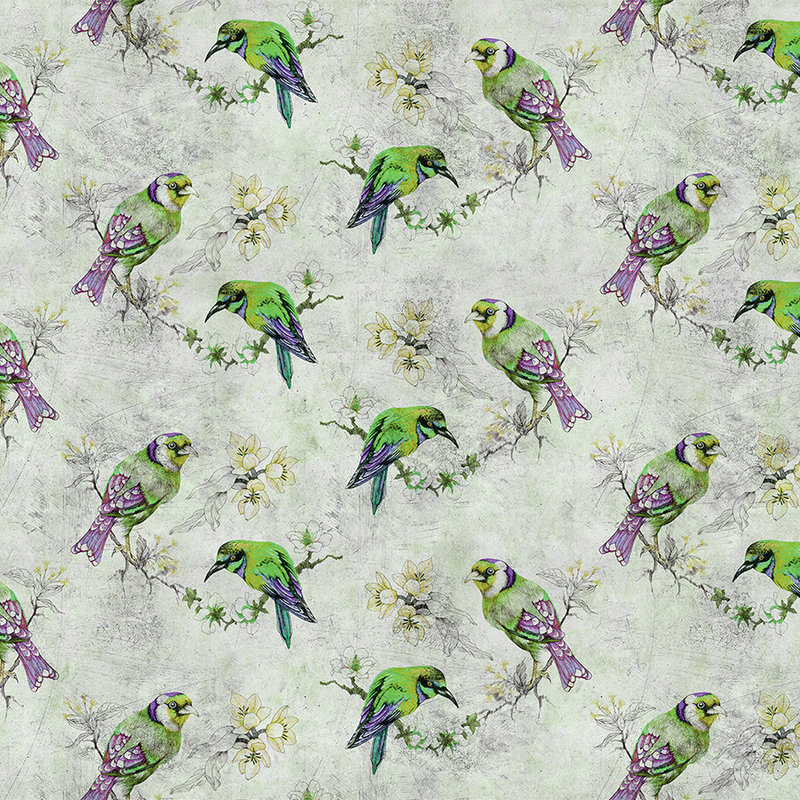 Pájaros del amor 2 - Papel pintado fotográfico colorido en estructura rayada con pájaros esbozados - Gris, Verde | Perla vellón liso
