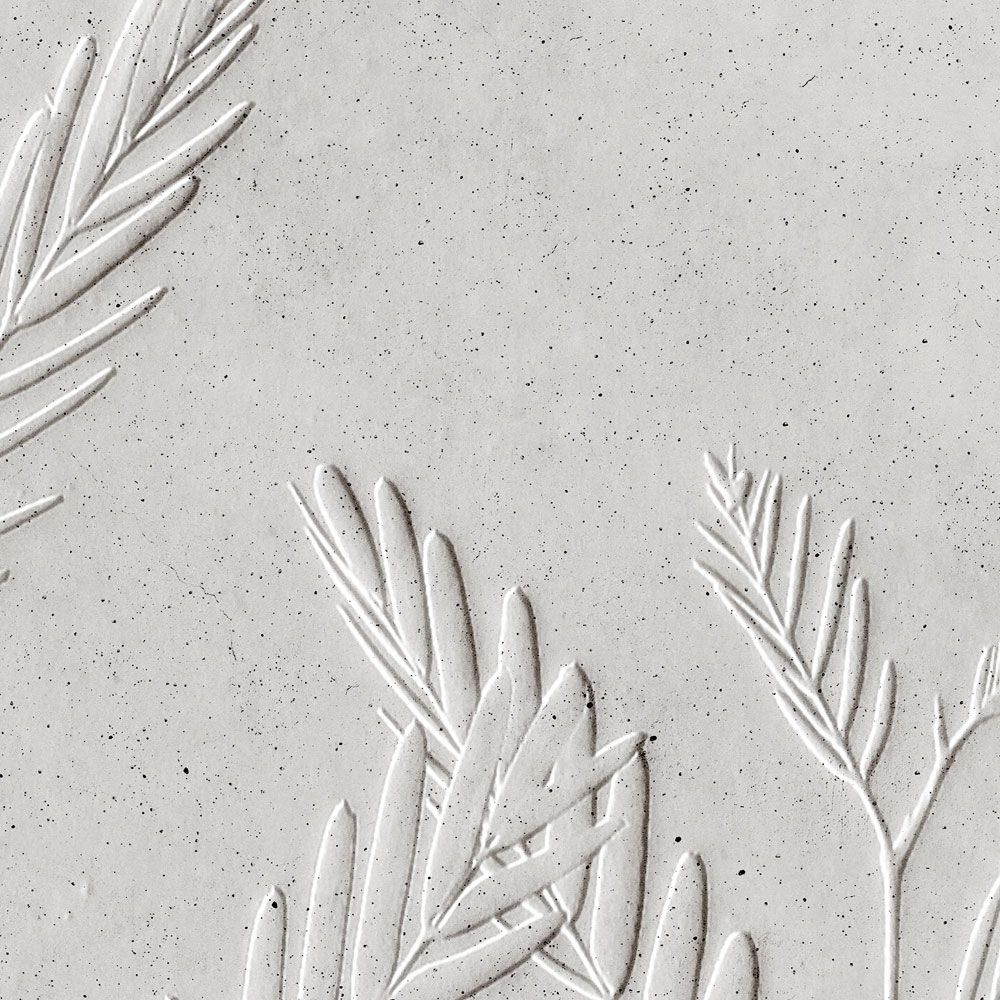             Photo wallpaper »far« - fern leaves in front of concrete plaster texture - light | Smooth, slightly shiny premium non-woven fabric
        