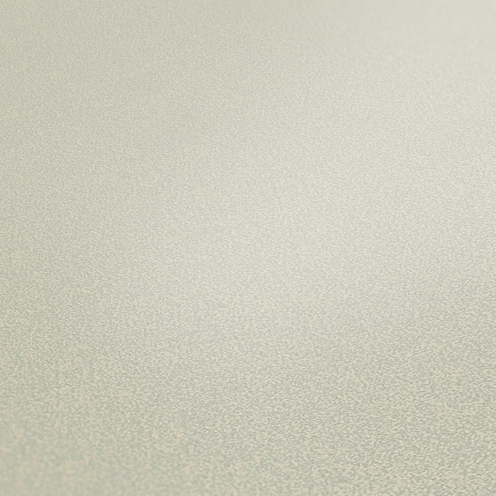             Papel pintado liso no tejido gris claro de MICHALSKY
        