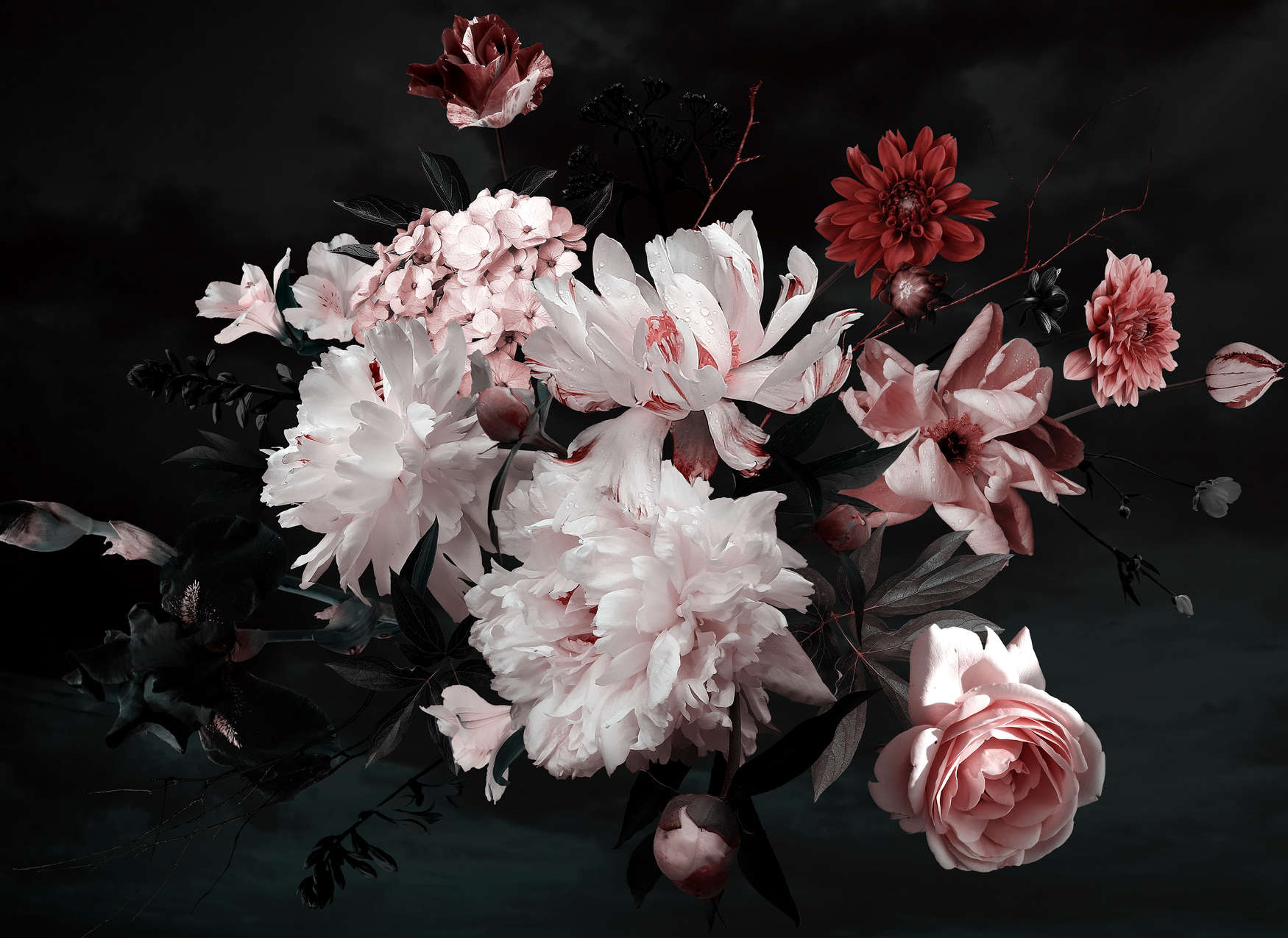             Carta da parati con bouquet di fiori - Bianco, rosa, nero
        