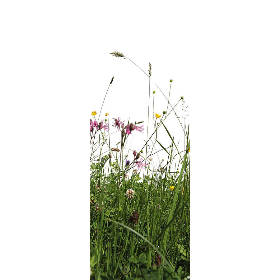         Nature photo wallpaper flower meadow on premium smooth fleece
    