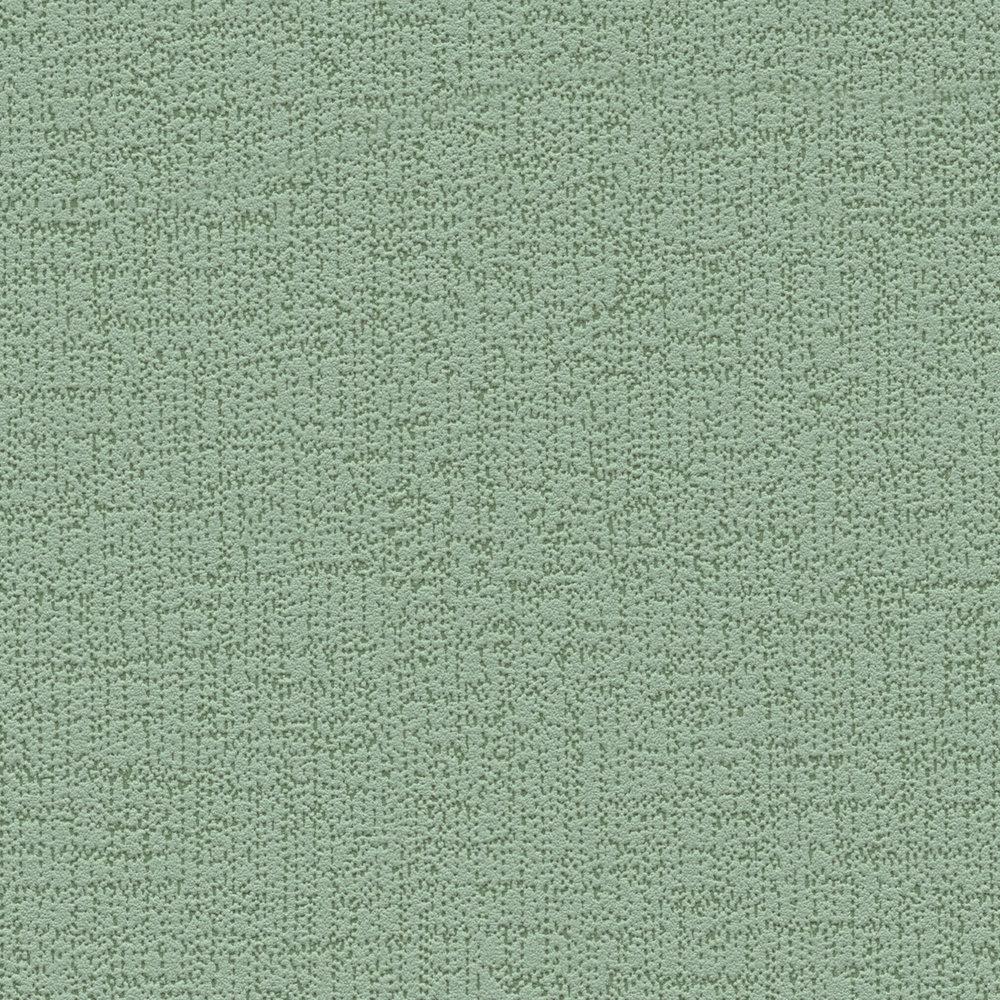             Papier peint intissé vert mousse uni avec motif structuré - vert
        