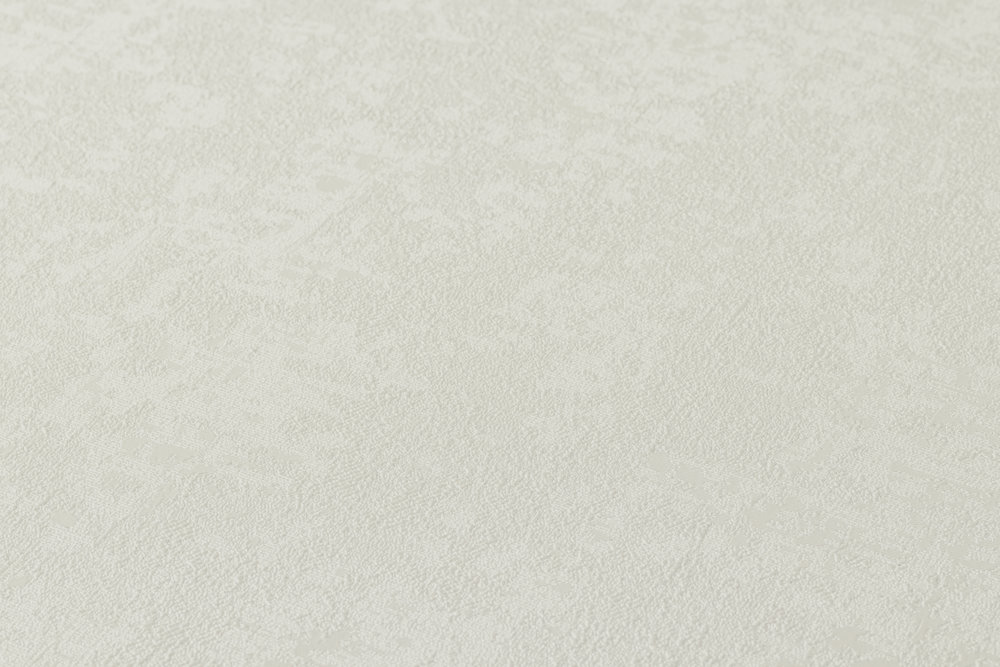             Papel pintado VERSACE Home gris claro con efecto brillo - Gris
        