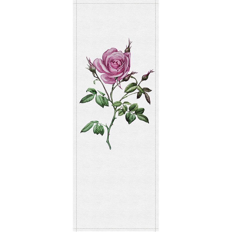 Lentepanelen 2 - Fotopaneel in ribbelstructuur met roos in botanische stijl - Grijs, Roze | Premium gladde fleece
