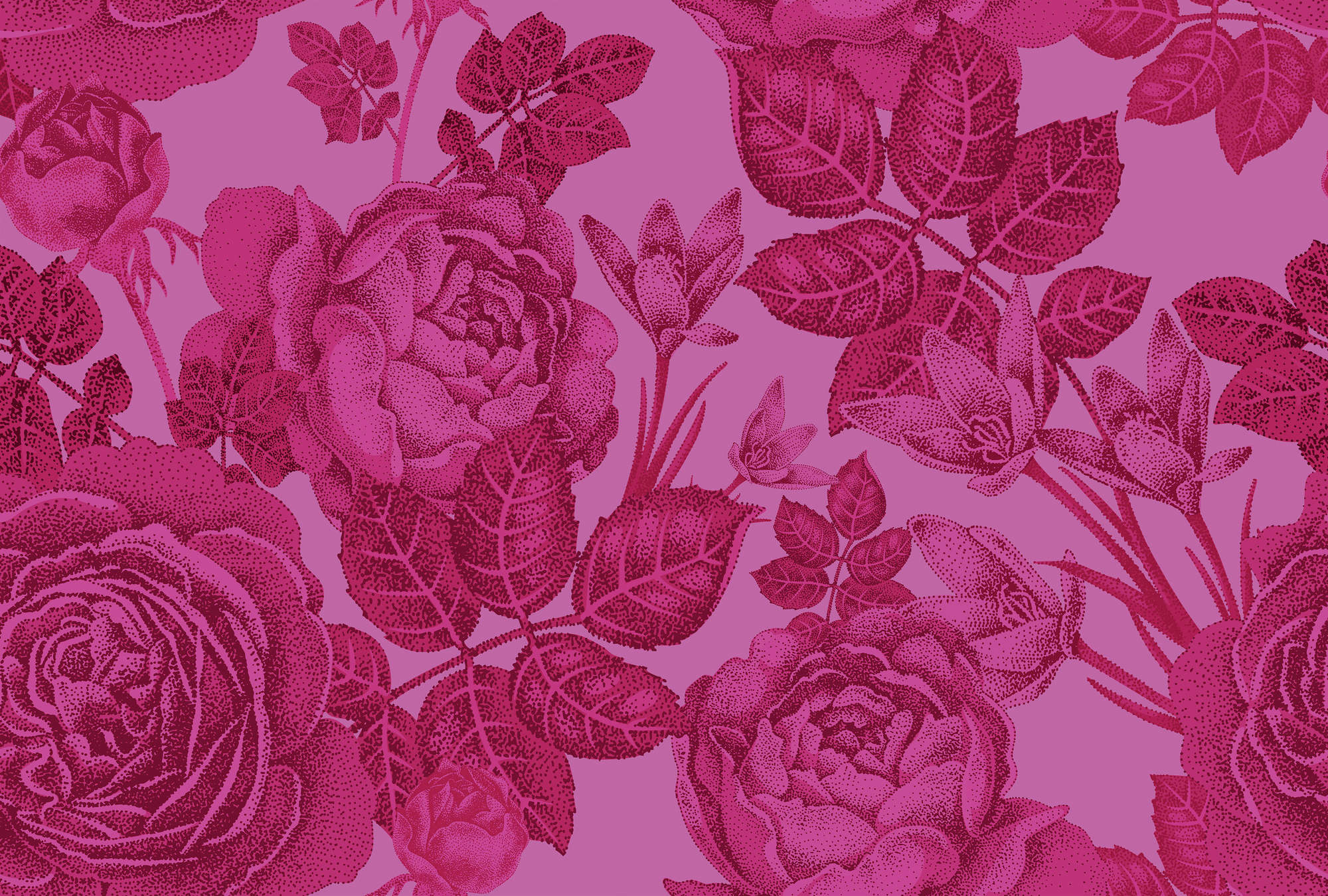             Carta da parati floreale Rose su un cespuglio - Rosa
        