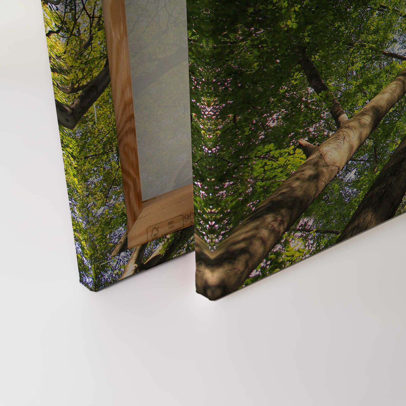             Cuadro lienzo follaje con copas de árboles de bosque caducifolio - 0,90 m x 0,60 m
        