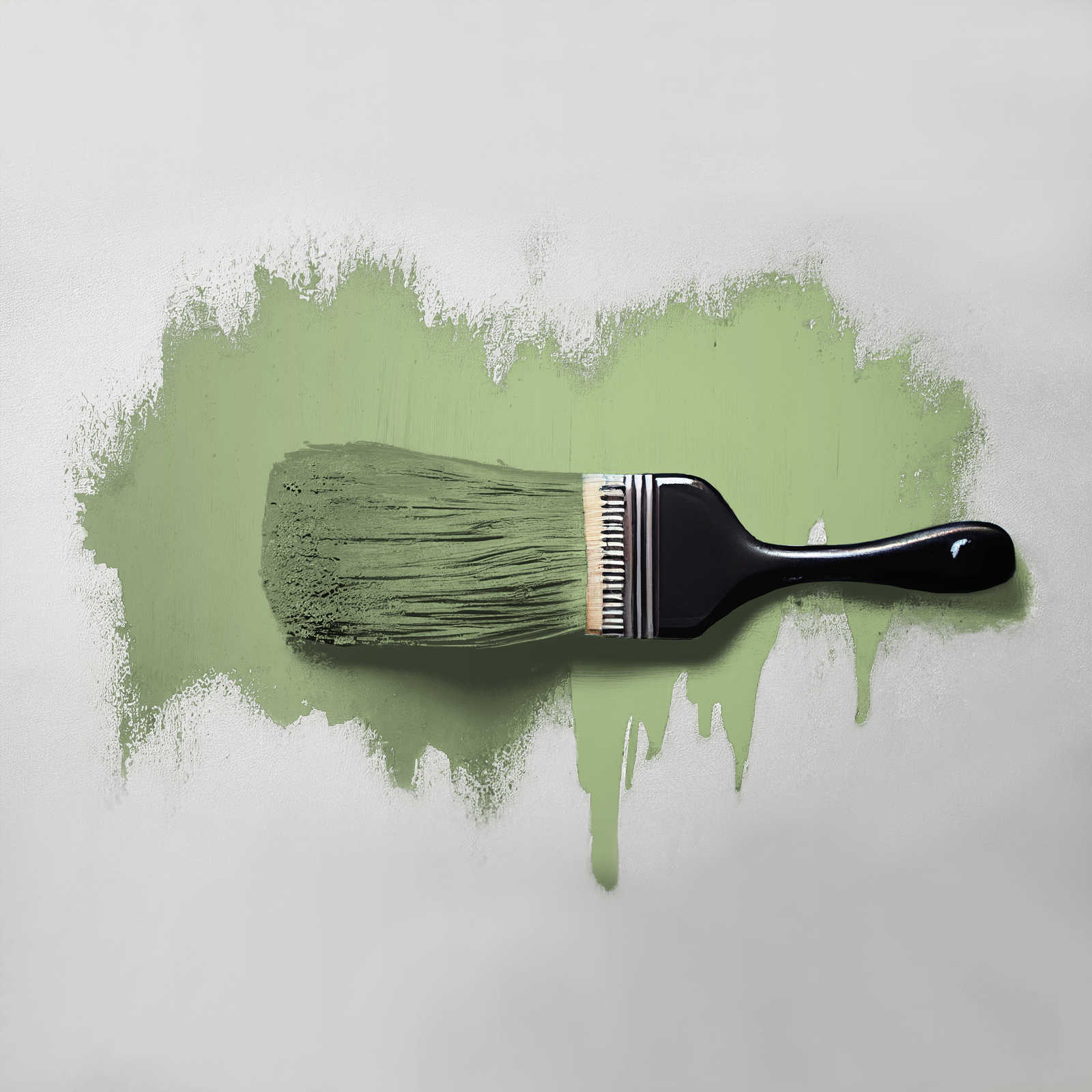             Pintura mural TCK4008 »Green Grape« en verde vivo – 5,0 litro
        