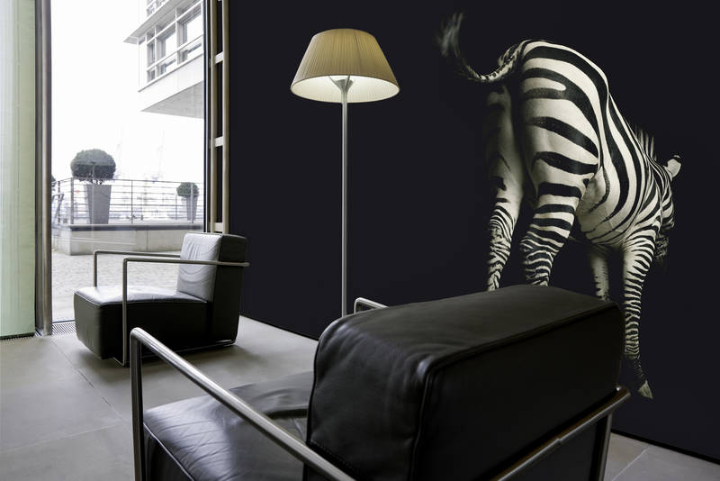             Zebra rug - Dierenportret Behang
        