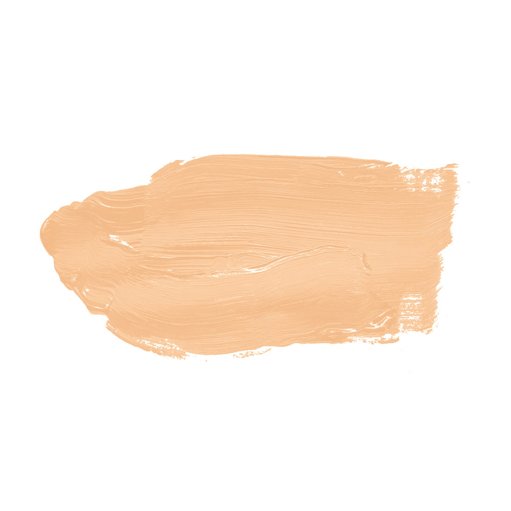             Pintura mural TCK5009 »Pithy Pancake« en naranja pastel claro – 5,0 litro
        