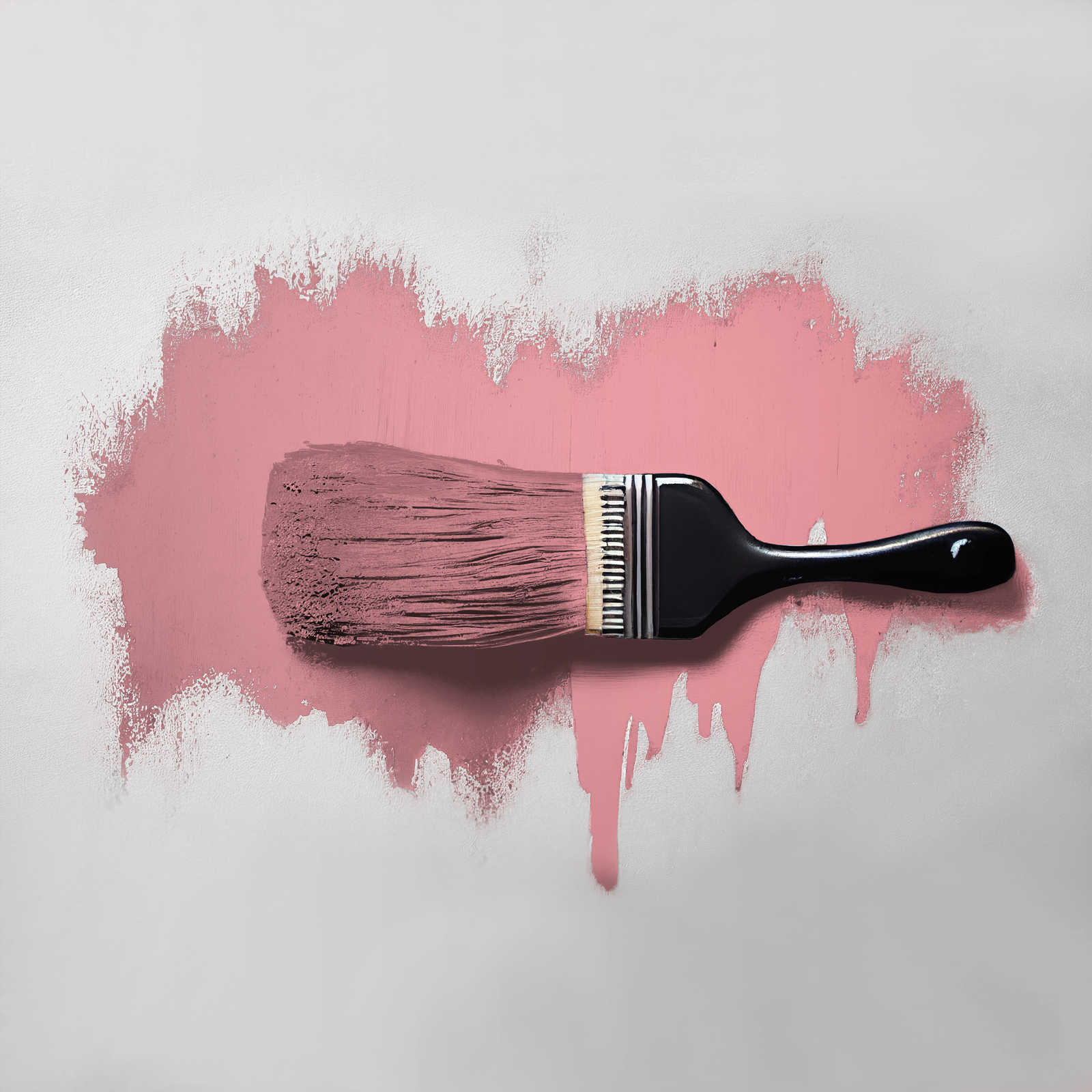             Peinture murale TCK7010 »Masterfully Macaron« en rose vif – 2,5 litres
        